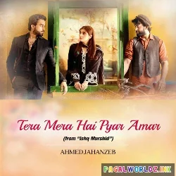 Tera Mera Hai Pyar Amar Ost