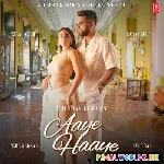 Aaye+Haaye