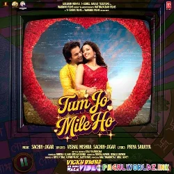 Tum Jo Mile Ho - Vicky Vidya Ka Woh Wala Video