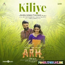 Kiliye - ARM