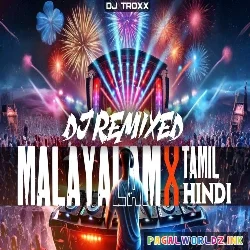 Multi language Non Stop Remix