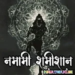Namami+Shamishan