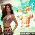 Yeh Mera Husnl - Baaghi 4