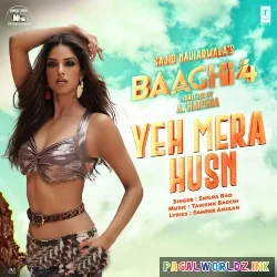 Yeh Mera Husnl - Baaghi 4