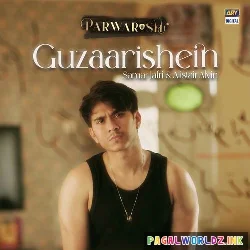 Sun Le Tu Dil Ki Yeh Shikayatein